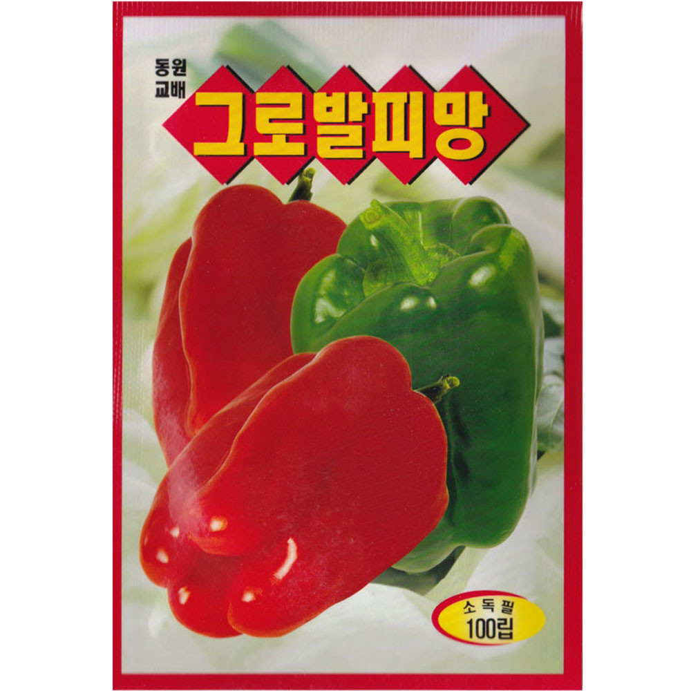 피망 씨앗 100립 피망씨 종자 키우기