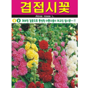 겹접시꽃 씨앗 30립 겹꽃 접시꽃 종자