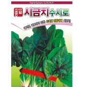 사계절 시금치씨앗 수시로  20g