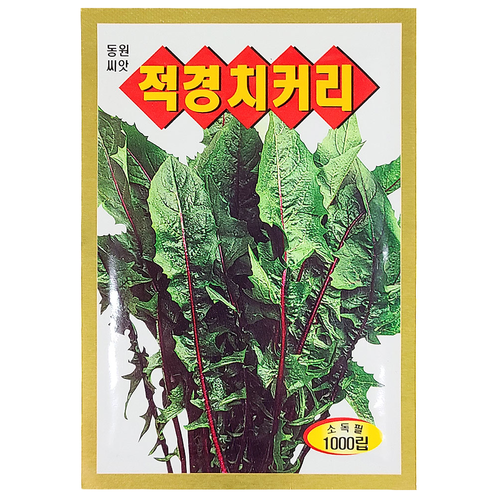 적경 치커리 씨앗 1000립 치커리씨 종자 키우기