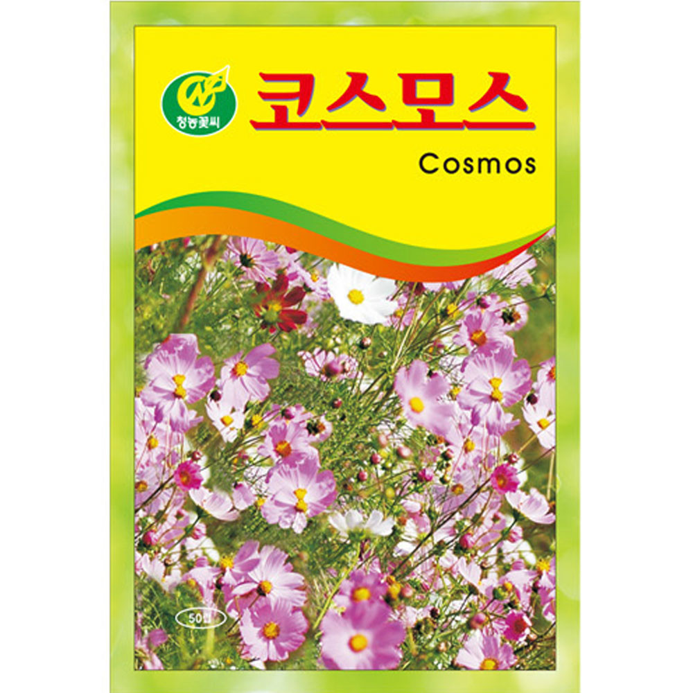 코스모스 씨앗 50립 꽃씨 종자