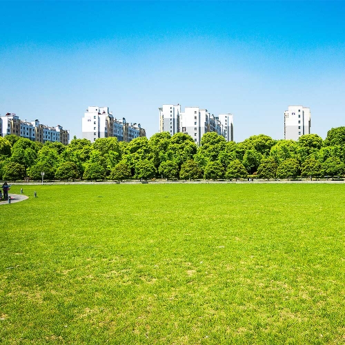 잔디비료 20kg 정원 골프장 묘지 산소용 복합 잔디영양제