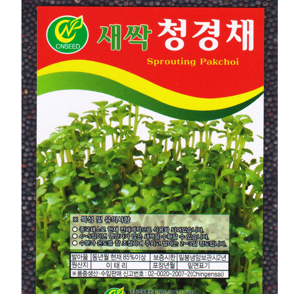 새싹 청경채 씨앗 30g 토경 수경재배 겸용 청경채씨 종자