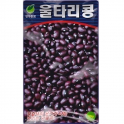 울타리콩씨앗 30g 넝쿨콩