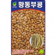 황 동부콩 씨앗 30g 덩굴성 동부콩씨 종자 키우기