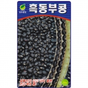 흑 동부콩 씨앗 30g 덩굴성 검정 동부콩씨 종자 키우기