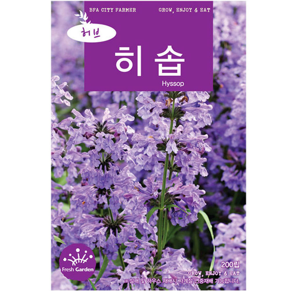 히솝 씨앗 200립 허브씨 종자