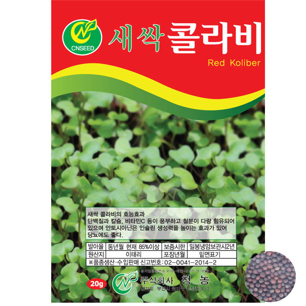 새싹 콜라비 씨앗 20g 씨 종자