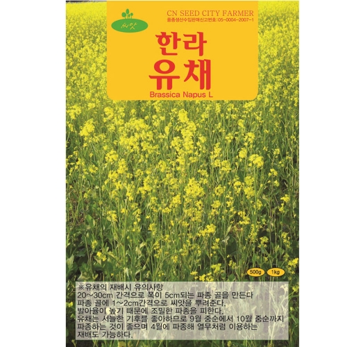 한라 유채 씨앗 30g 꽃 나물 종자