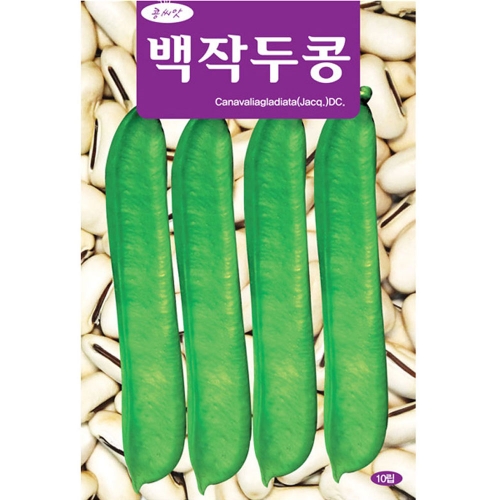 청농 백작두콩씨앗 10립 작두콩종자