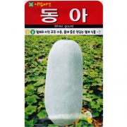동아 씨앗 10립 덩굴성 박과 동아씨 종자