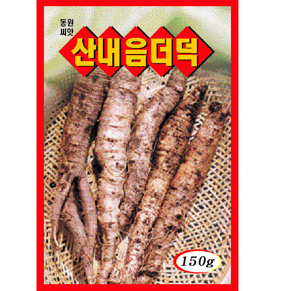 더덕 씨앗 150g /300g 큰용량 더덕씨 종자