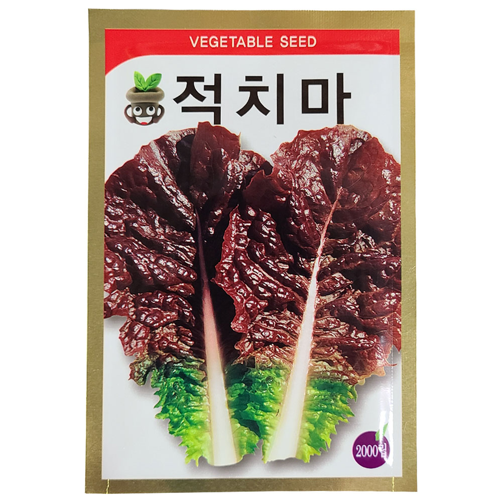 적치마 상추 씨앗 2000립 쌈채소 적상추씨 종자 키우기