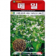 메밀 씨앗 30g 재배용 종자