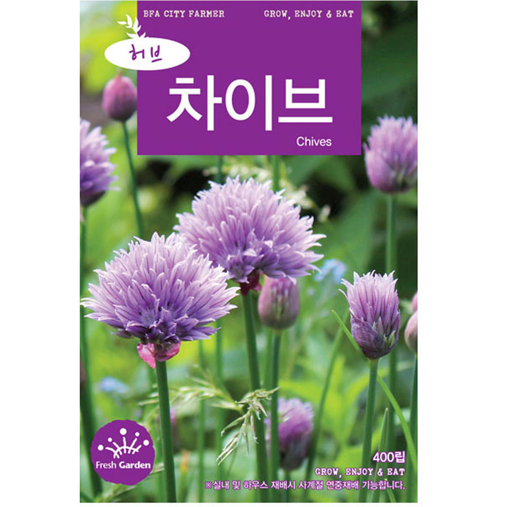 차이브 씨앗 400립 허브 키우기 씨 종자