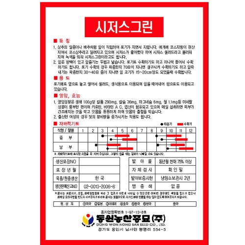 청로메인 씨앗 2g 로메인 상추 종자 키우기