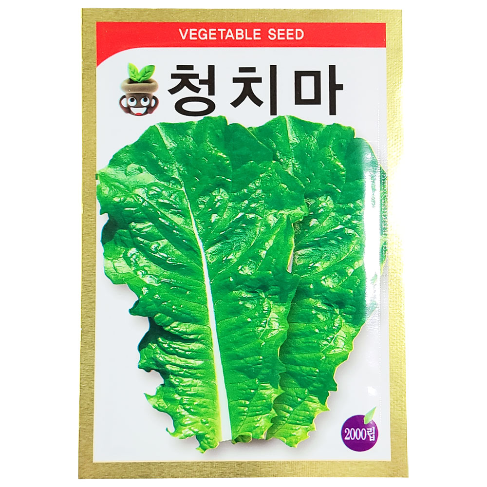 청치마 상추 씨앗 2000립 쌈채소 상추씨 종자 키우기