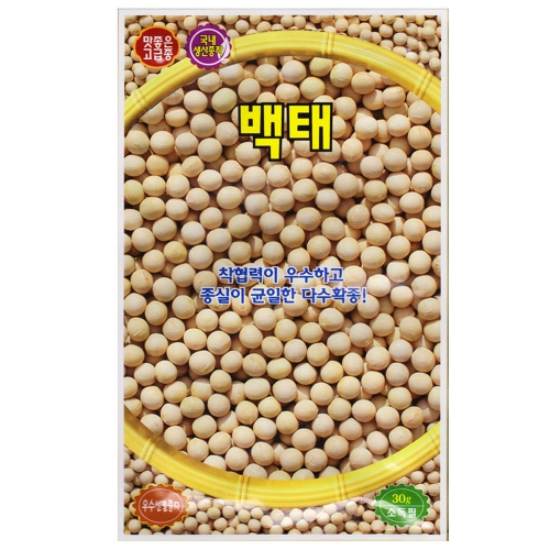 백태콩 씨앗 30g 메주콩 흰콩 종자