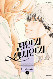 꿈인지 생시인지 3권 만화책 대원씨아이