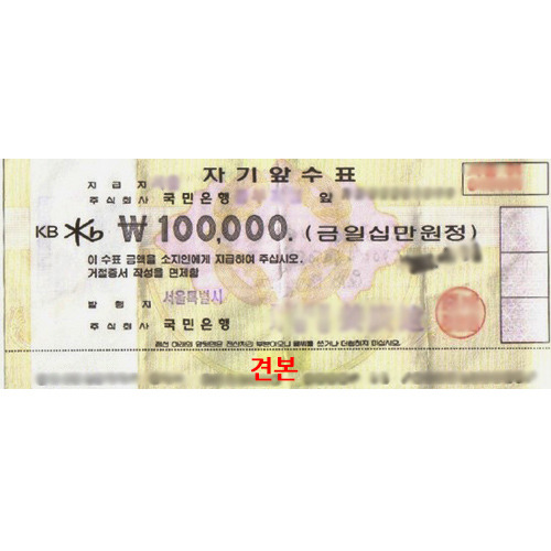 개인결제(100,000원)