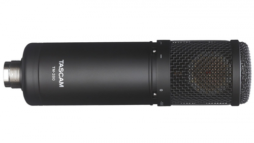 TASCAM TM-280/Large Diaphragm Condenser Microphone