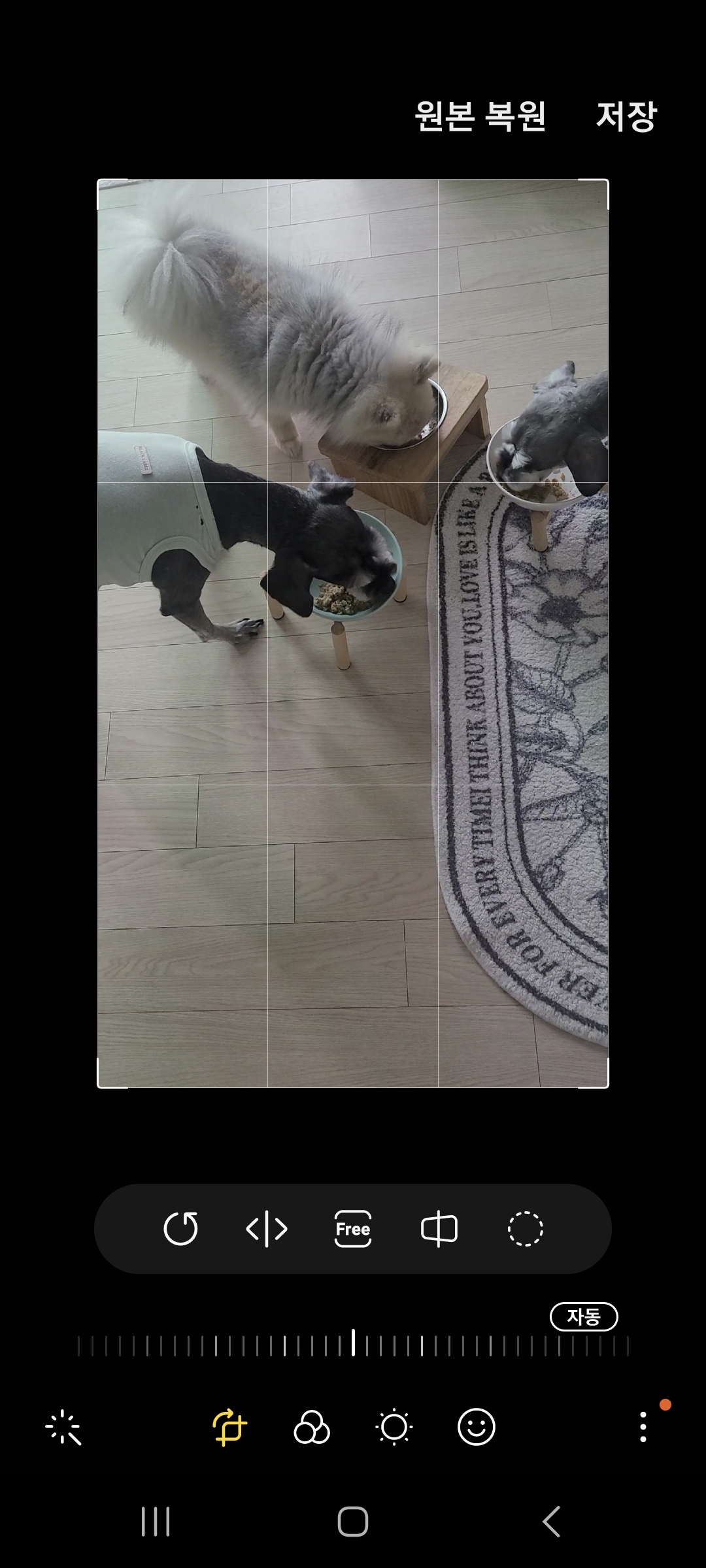 Screenshot_20240918_121827_Photo Editor.jpg