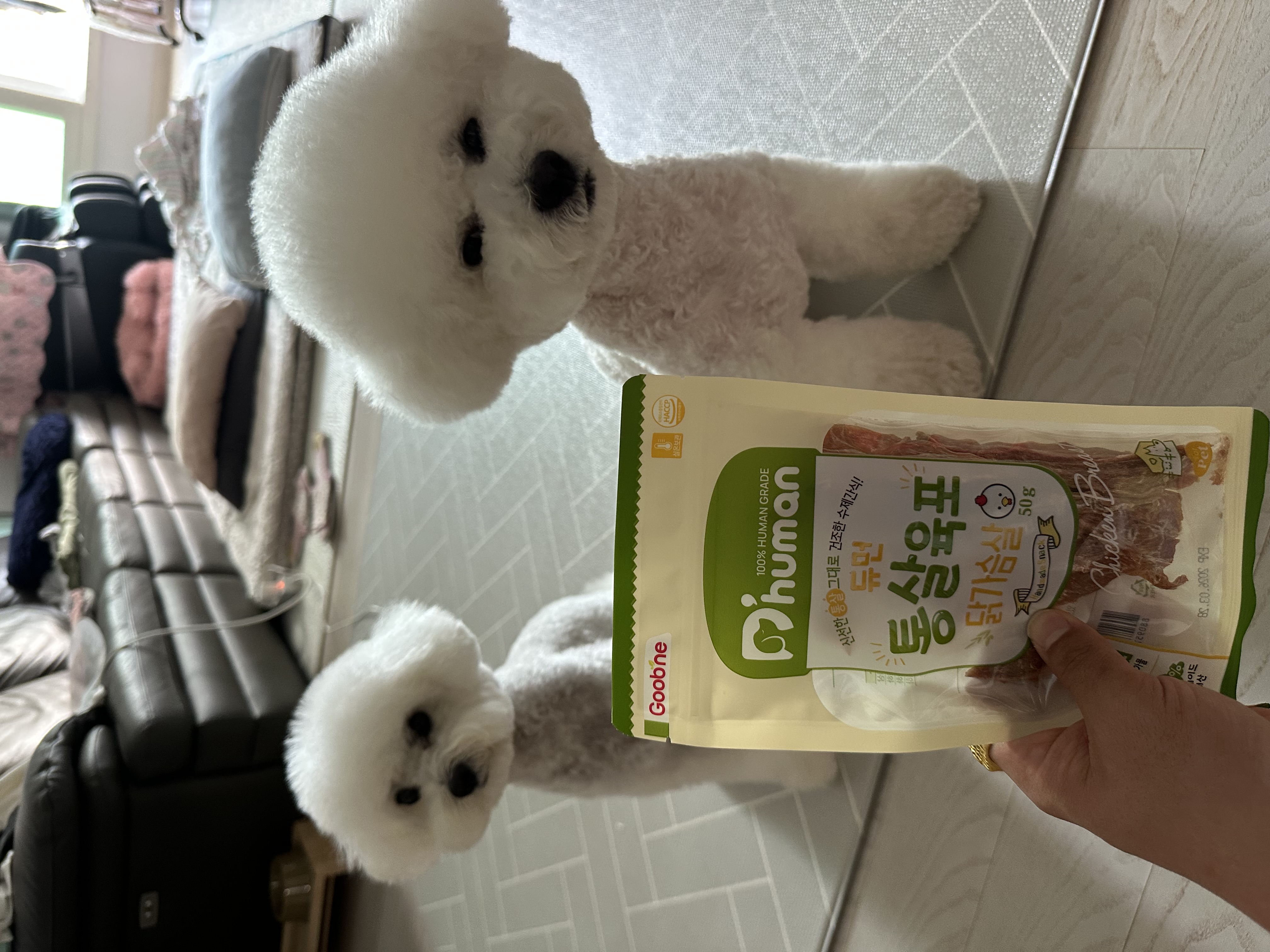 IMG_4095.jpeg