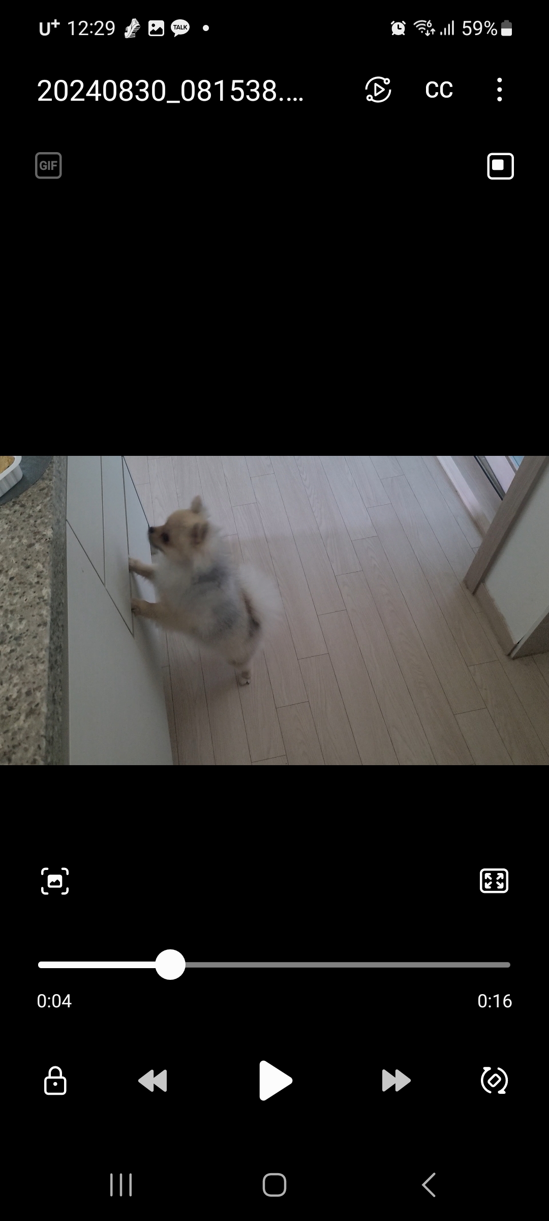 Screenshot_20240918_122947_Video Player.jpg