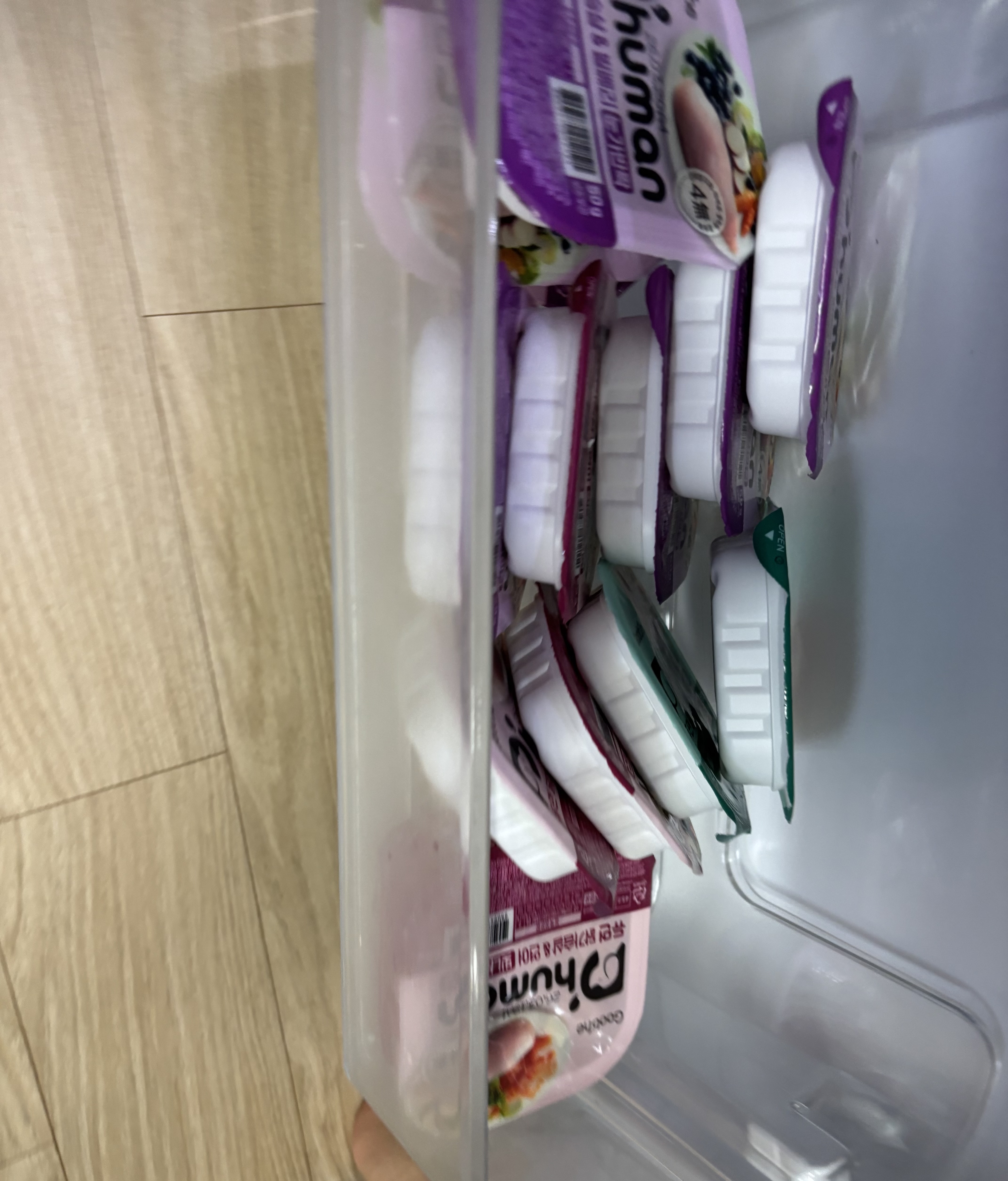 IMG_0036.jpeg