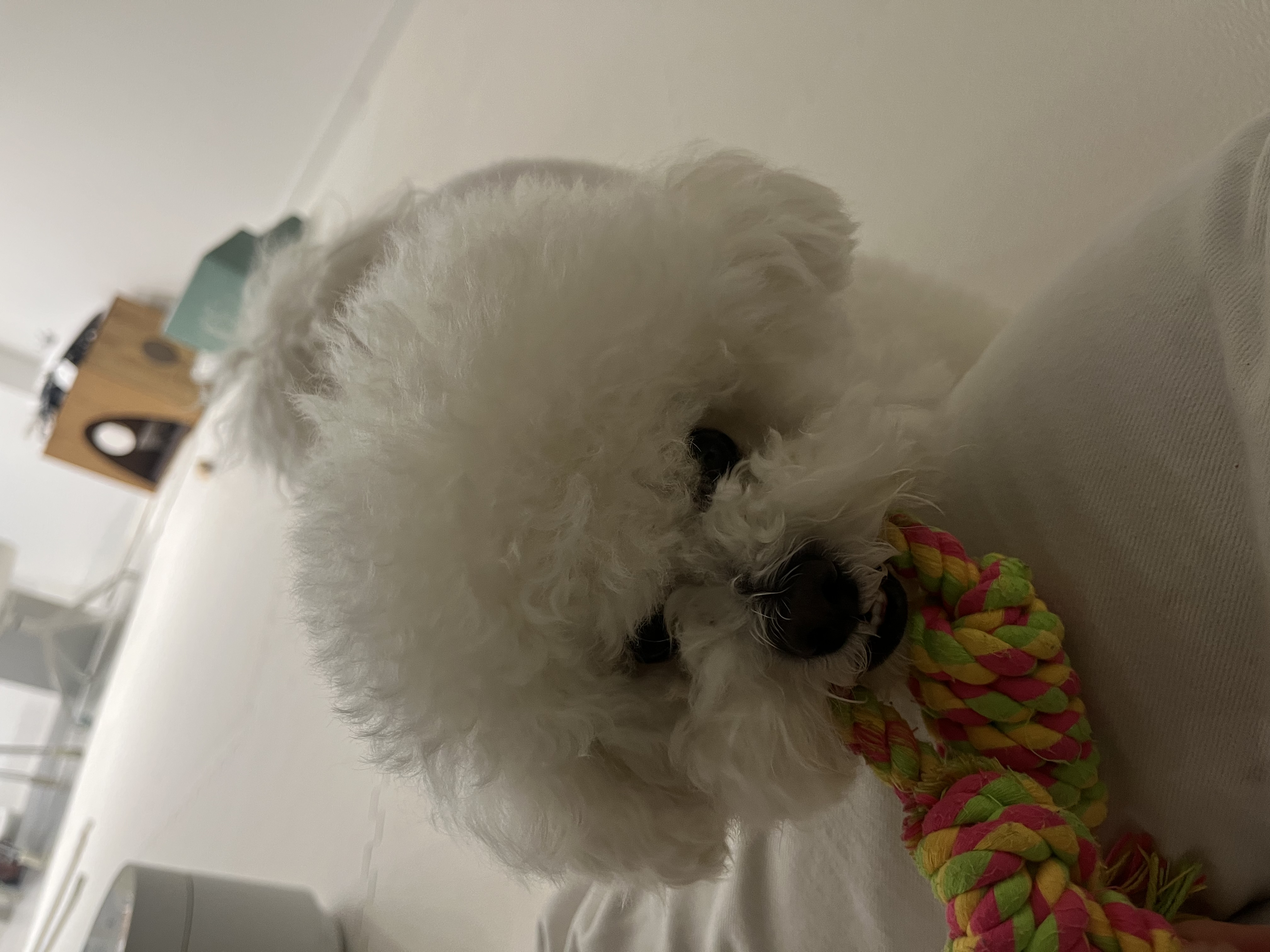 KakaoTalk_20250310_184217758_02.jpg