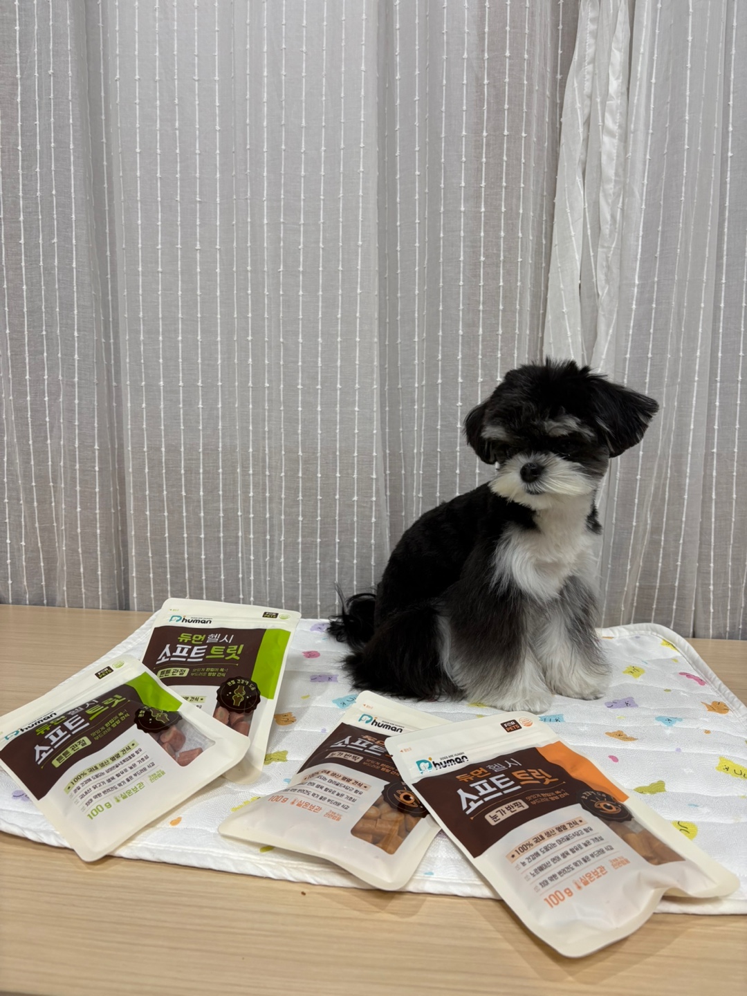 KakaoTalk_20250506_213357196.jpg