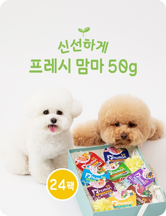 [11월기획] 50g 화식 4주세트 24팩