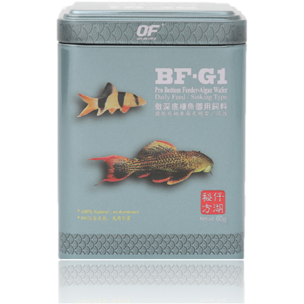 오션프리 OF 프로 와퍼(BF) 60g(소) 사료먹이