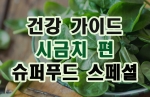 [해외의학언론] 슈퍼푸드 건강가이드 시금치 편(2021년 최신)