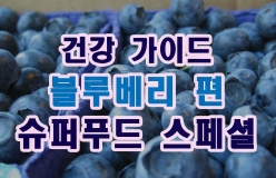 [해외의학언론] 슈퍼푸드 건강가이드 블루베리 편(2021년 최신)