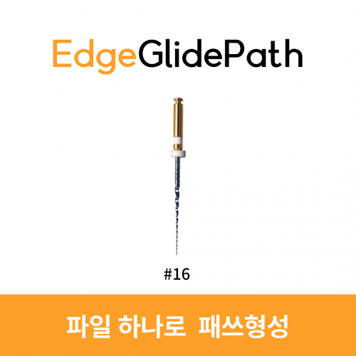 엣지글라이드패쓰(프로글라이더 호환)