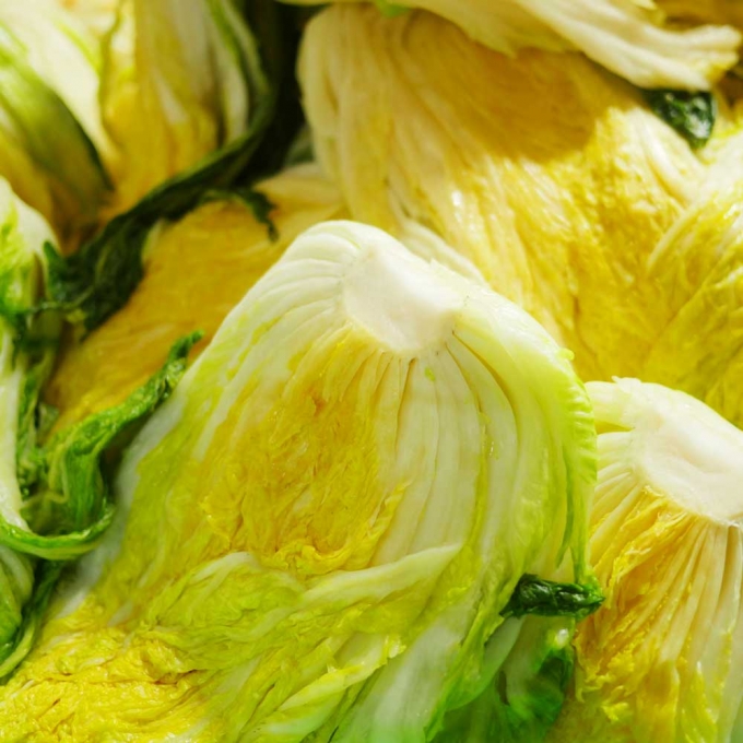 찬우물 절임배추 20kg