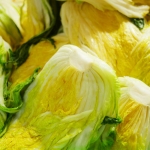 찬우물 절임배추 20kg