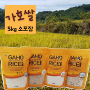 [합천 가호쌀] 맛있는 4종쌀 선택 5kg, 현미 백미 찹쌀현미 찹쌀,지퍼포장,택배비포함