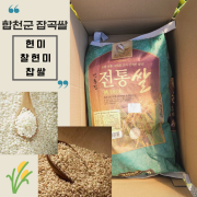 2022 합천쌀 찹쌀 20kg, 산지직송