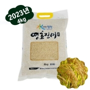 23년산 수려한합천쌀 영호진미 4kgs, 무료배송, 단체선물용 행사용,자취용에 적합