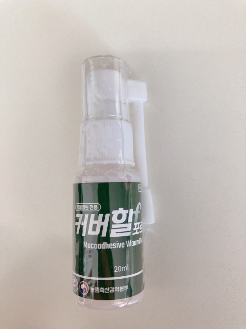 커버힐 포르테 20ml(겔타입)(의료기기)