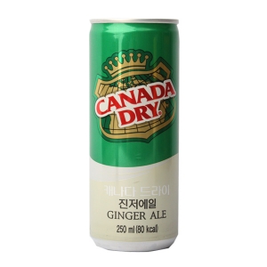 캐나다드라이 진저엘 캔 250ml 2박스 60개