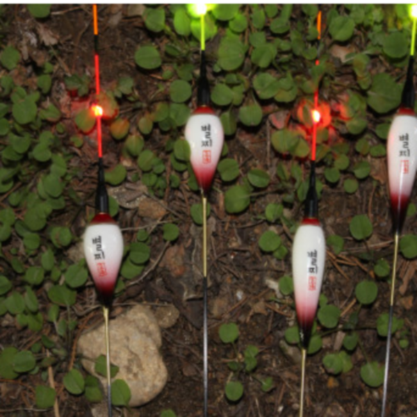 파란낚시 별찌 민물전자찌 펄와인 6점등 LED전자찌 65cm 70cm