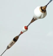 황태자(특수찌)노캐미 챔피언-브라보