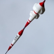 황태자(특수찌)노캐미 파워라이징2-알파2,알파3,알파4