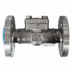 1000001674 (국산) DEV 동은밸브 ASTM F316 스텐 단조스윙체크(F) 20K(300#) 10A~50A 플랜지식 주문제작 별도문의 (300LB 구 DKM 동강금속 스텐단조 스윙체크밸브)