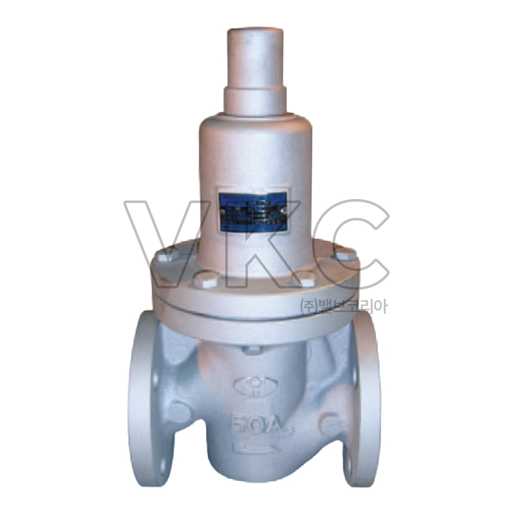 1000001899 유연 닥타일 1차압력조절밸브 RGD-1F 10K 15A~150A 플랜지식 (물, 공기 접속방법 JIS 플랜지 FCD 주철 감압변 감압밸브)