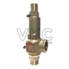 1000001955 YNV 스텐 가스용 안전밸브 GSV-4S(NL) 15A~50A 스텐덮개, 나사식, 밀폐형 (와이엔브이 고양정식 가스안전밸브 설정압력 범위 0.05MPa-10MPa)