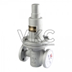 1000002008 YNV 스텐 1차압력조절밸브 DRG-2F 20K 15A~200A 플랜지식, 물, 공기, 오일 (와이엔브이 SCS13 직동식 감압변)